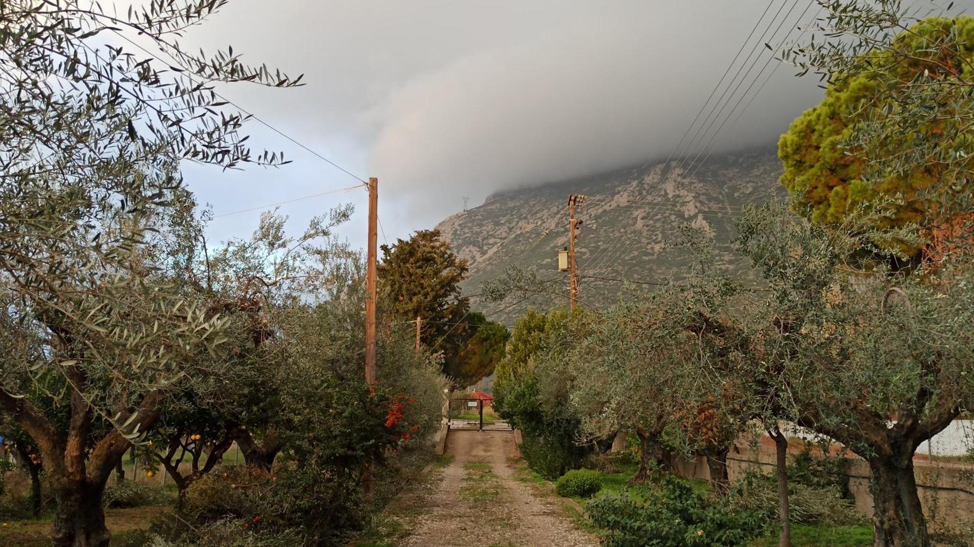 Nafpaktos Cottage By The Sea For Travelers And Dreamers! المظهر الخارجي الصورة