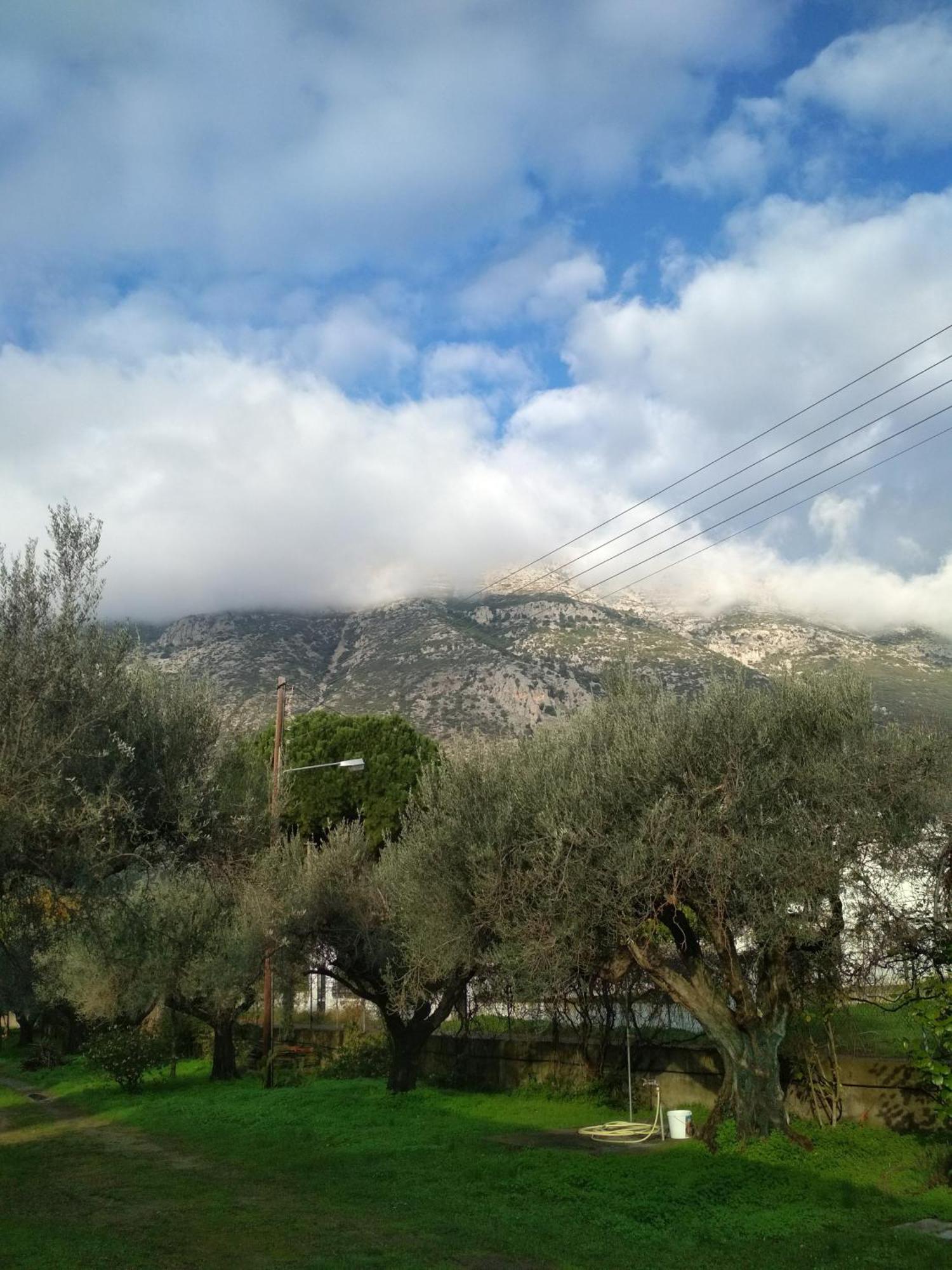 Nafpaktos Cottage By The Sea For Travelers And Dreamers! المظهر الخارجي الصورة