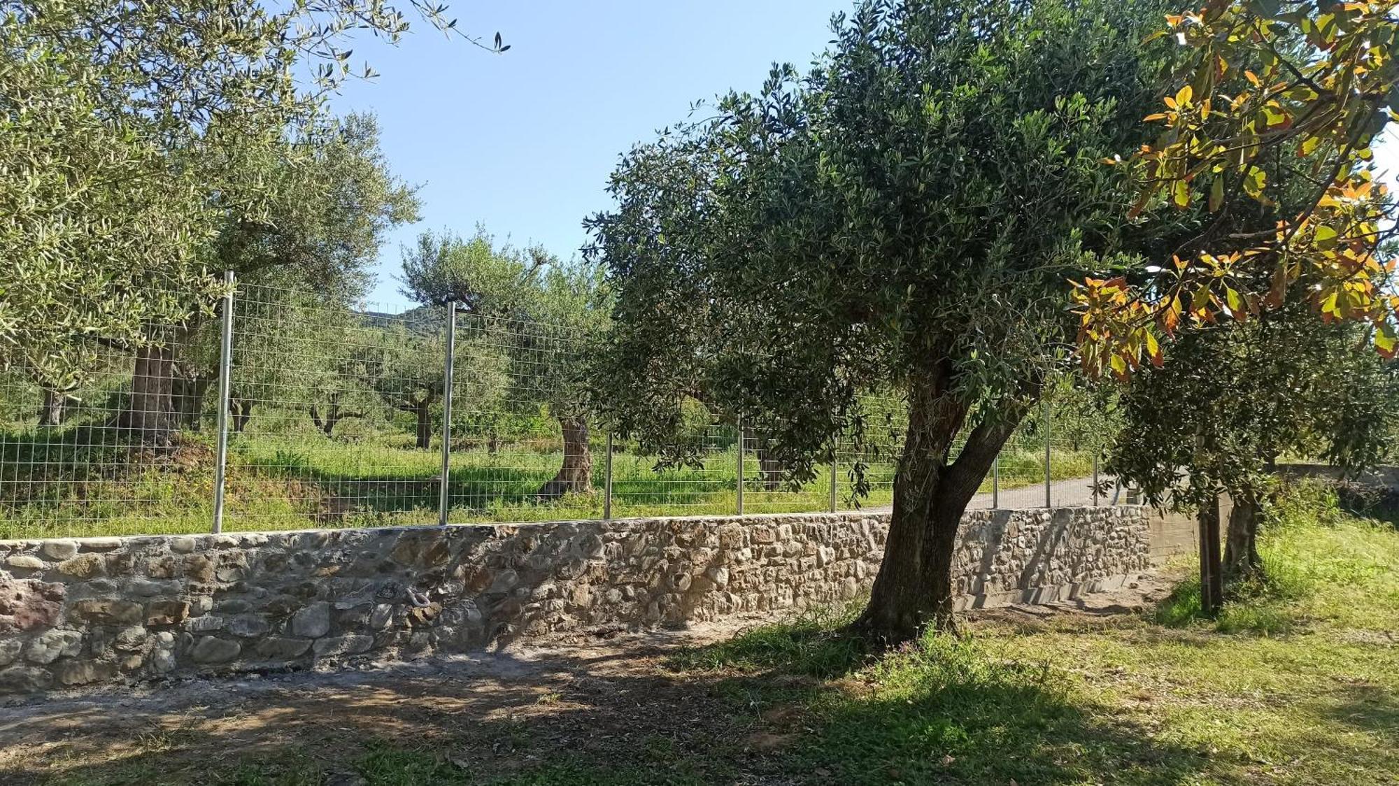 Nafpaktos Cottage By The Sea For Travelers And Dreamers! المظهر الخارجي الصورة